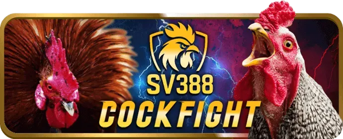 Cá Cược Bóng Đá 88aa
