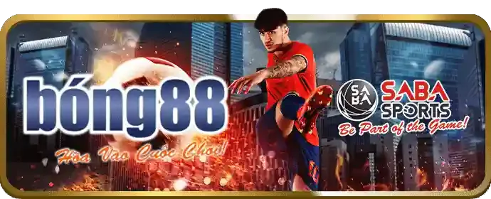 Đặt cược và xác nhận 88aa