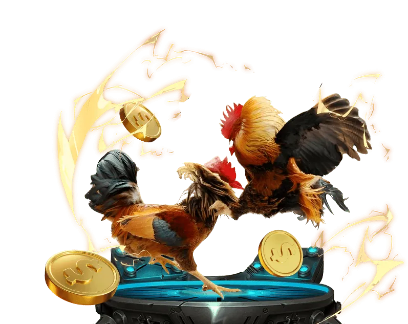 Hình ảnh minh họa hỗ trợ và nguồn lực